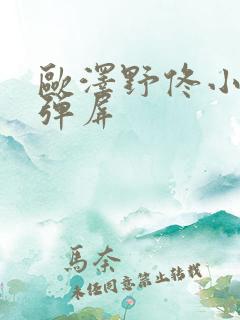 欧泽野佟小曼无弹屏