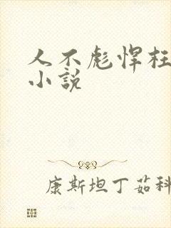 人不彪悍枉少年小说