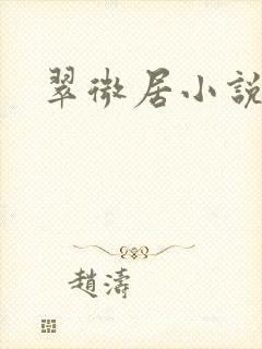 翠微居小说