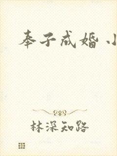 奉子成婚 小说