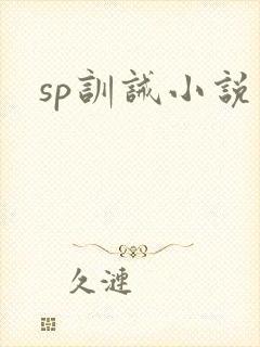 sp训诫小说