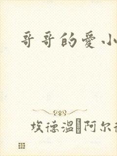 哥哥的爱小说