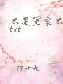 不是冤家不聚头txt