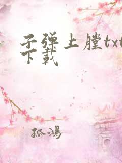 子弹上膛txt下载