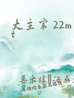 大主宰 22mt