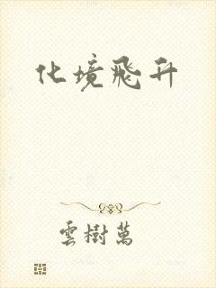 化境飞升