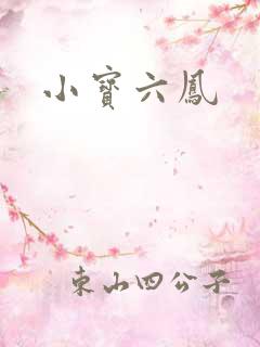小宝六凤
