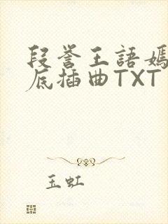 段誉王语嫣在井底插曲TXT