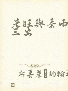 老旺与秦雨三进三出