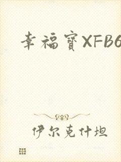 幸福宝XFB6