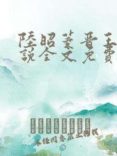 陆昭菱晋王的小说全文免费阅读