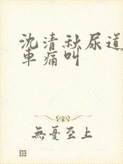 沈清秋尿道扩张车痛叫