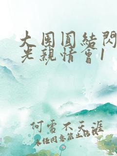 大团圆结闪闪发光亲情会1