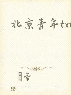 北京青年txt