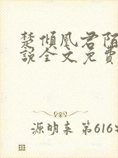 楚倾凰君陌尘小说全文免费阅读