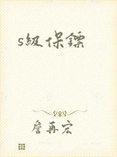 s级保镖