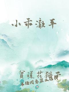 小乖澈平