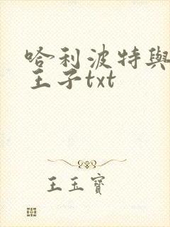 哈利波特与混血王子txt