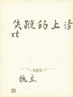 失踪的上清寺txt