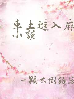 车上进入麻麻的小说