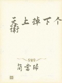 天上掉下个影卫卫