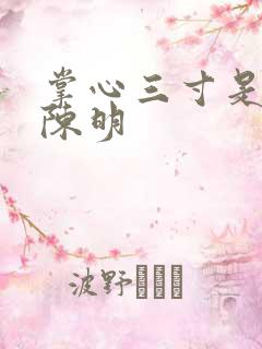 掌心三寸是人间陈明