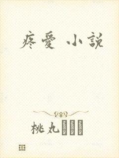 疼爱 小说