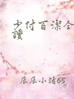 少付百洁全文阅读