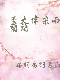 李大伟宋雨睛孙兰兰