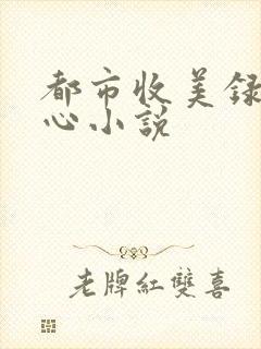都市收美录宁素心小说