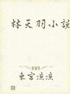 林天羽小说