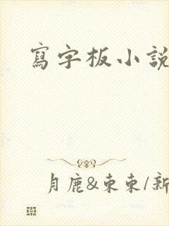 写字板小说
