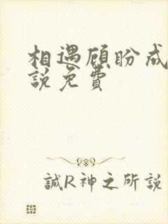 相遇顾盼成欢小说免费