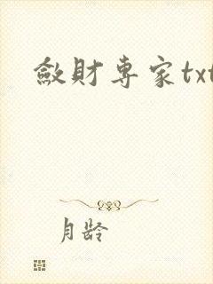 敛财专家txt