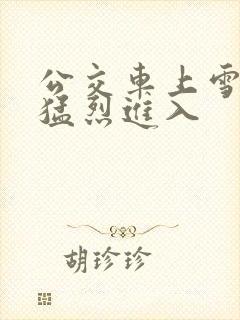 公交车上雪柔被猛烈进入