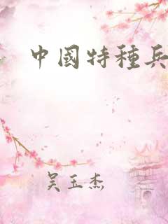 中国特种兵小说