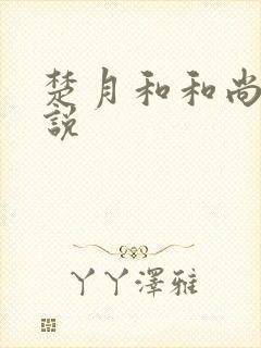 楚月和和尚的小说