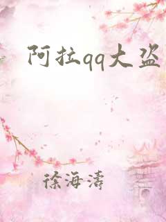 阿拉qq大盗