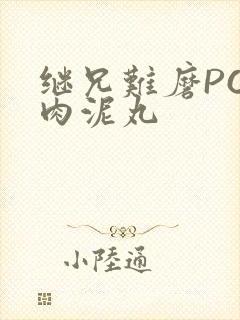 继兄难磨PO猪肉泥丸