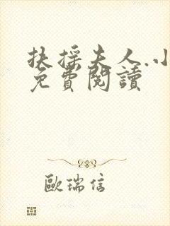 扶摇夫人.小说免费阅读