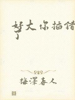 好大你插错地方了