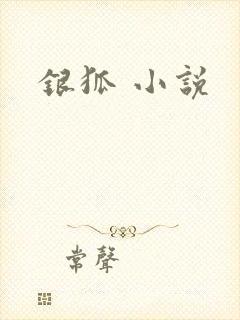 银狐 小说