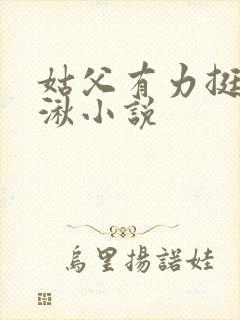 姑父有力挺送徐湫小说