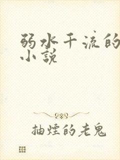 弱水千流的全部小说
