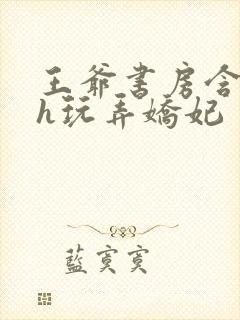 王爷书房含乳尖h玩弄娇妃