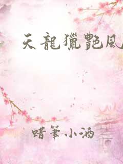 天龙猎艳风流