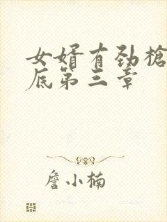 女婿有劲枪枪到底第三章