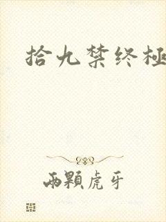 拾九禁终极直播