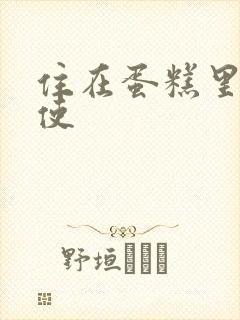 住在蛋糕里的天使