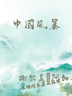 中国风暴